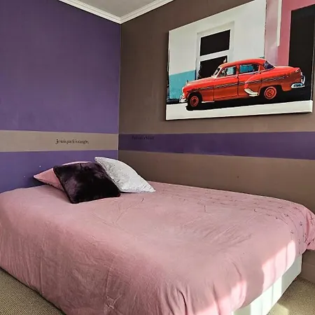 Le Congres - Centre - Terrasse